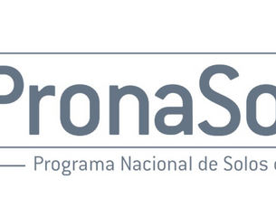 PronaSolos – Dashboards