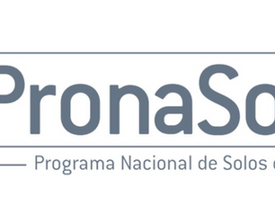 PronaSolos – Dashboards