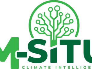 M-Situ