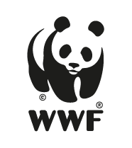 Sistema de Monitoramento de Desmatamento Kanindé (SMDK) – WWF Brasil