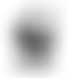 Sistema de Monitoramento de Desmatamento Kanindé (SMDK) – WWF Brasil