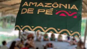 Standing Amazon (Amazônia de Pé)
