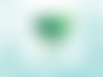 Cadastro Ambiental Rural (CAR)