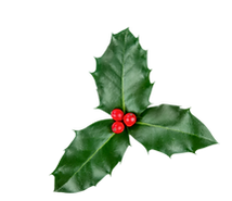 Merry Christmas and Happy New Year Greetings Instagram Post (2).png