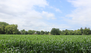 IMG_5514.JPG