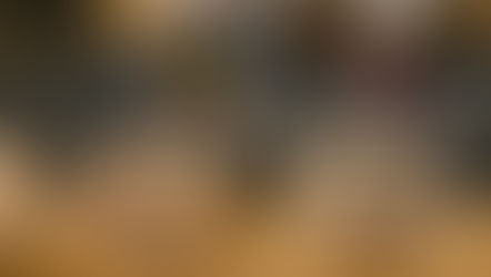 Kameradschaft und Treffsicherheit: Erfolgreicher Abschluss der LG-Auflage-Wettkämpfe im Altkreis Vaihingen/Enz