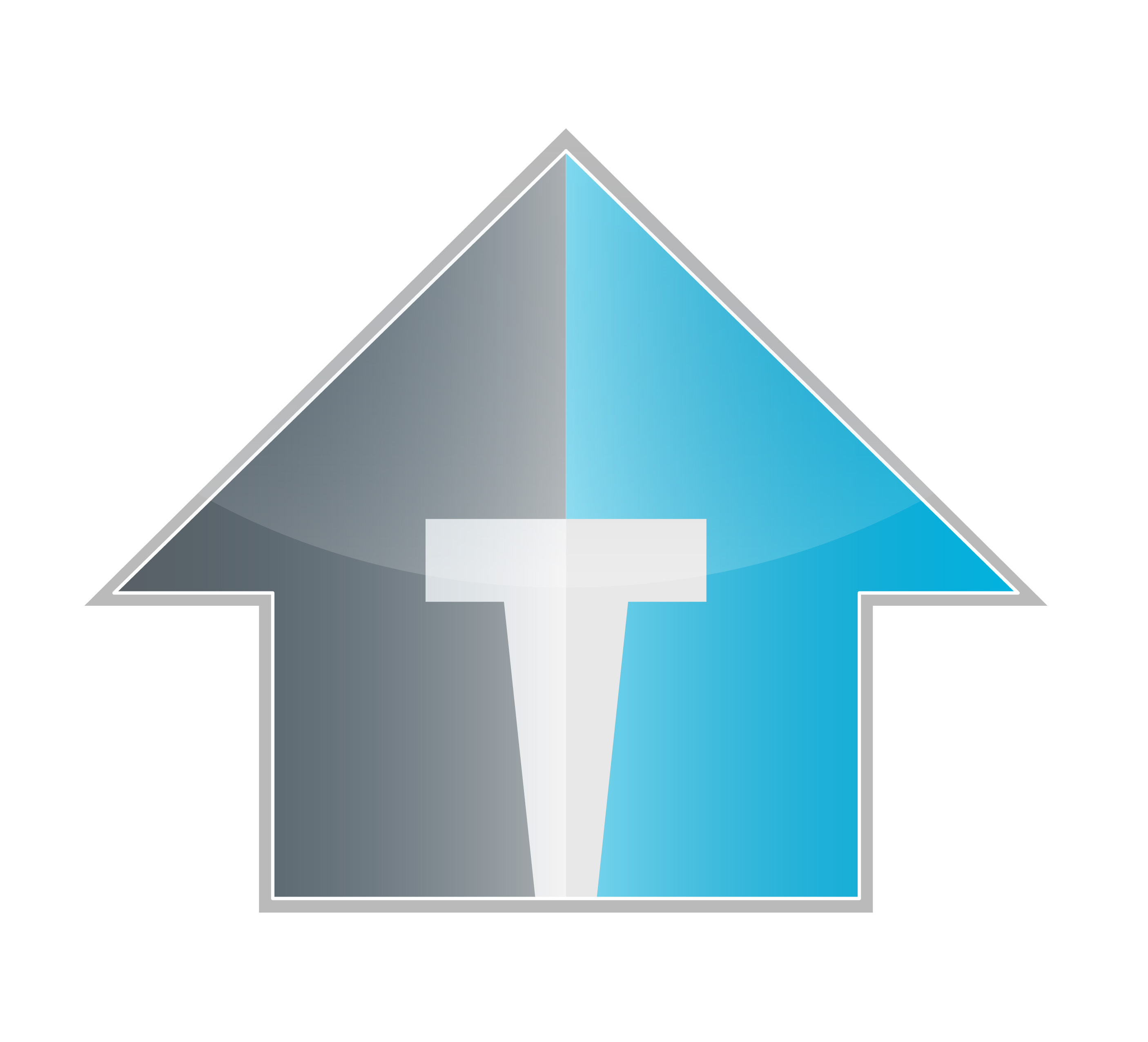 Twofold Mold Inspections - Knoxville Mold Inspector - Environmental consultant in Knoxville
