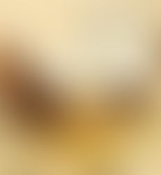 Update on coconut oil and heart health