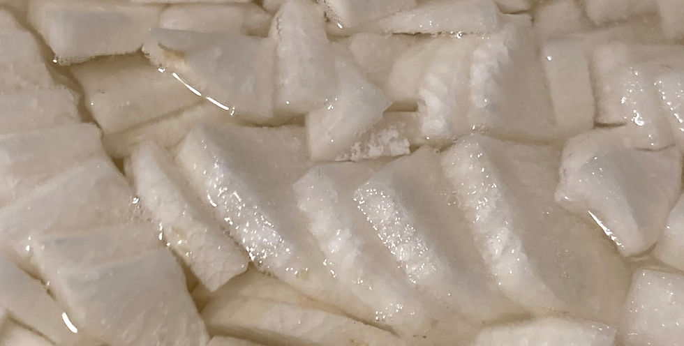 Daikon radish