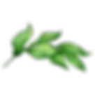 Leaves 2
