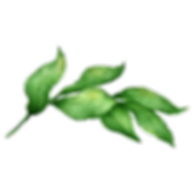 Leaves 2