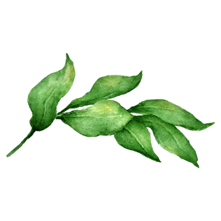Leaves 2