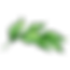 Leaves 2