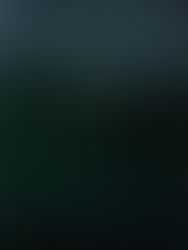 ASNOIX Limited Edition