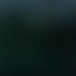 ASNOIX Limited Edition