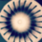 Thumbnail: MDL!GHT | Orion