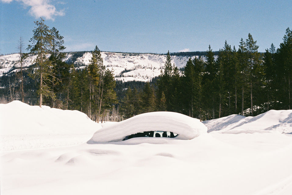 Buried in Snow