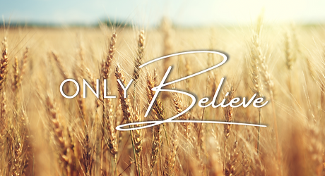 Untitled design (8).png