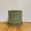 Miniature : Philodendron birkin