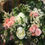 Miniature : Bouquet Pérelle