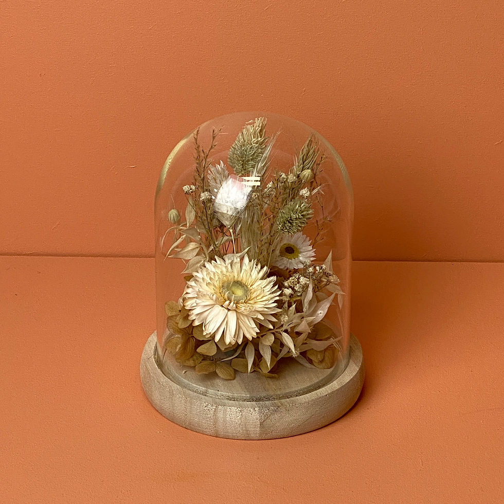 Miniature : Cloche de fleurs séchées Mistral