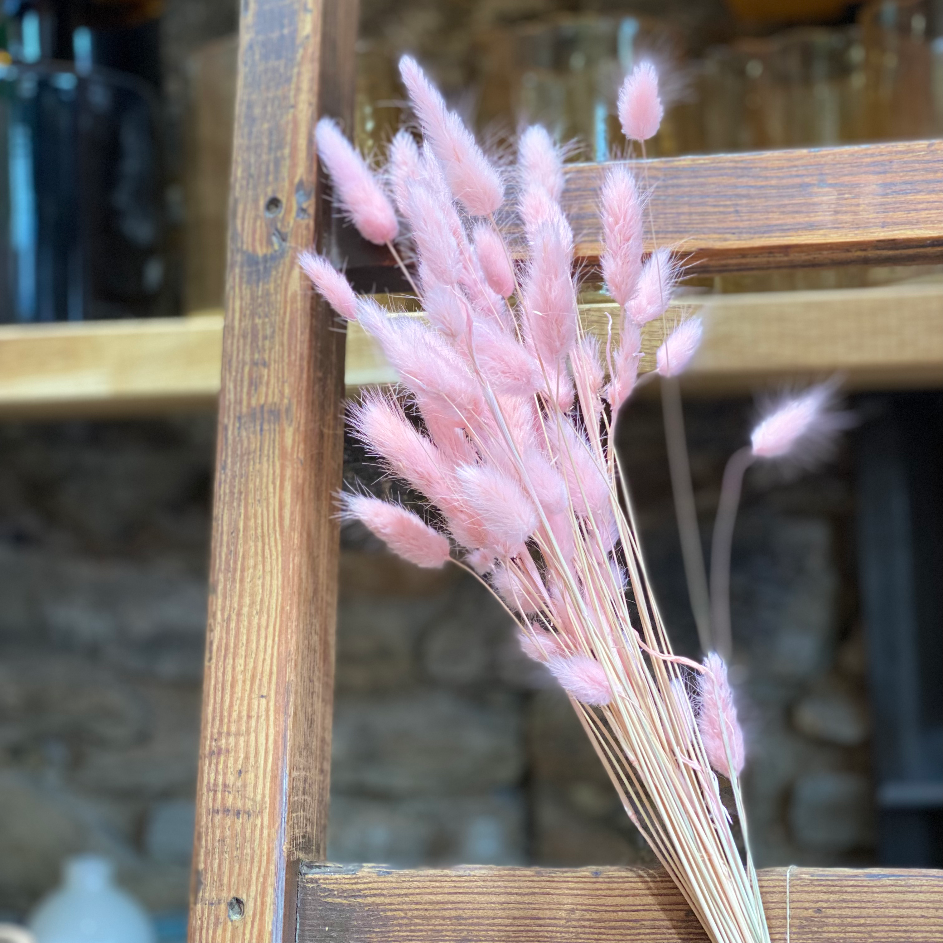 Botte Lagurus rose pastel