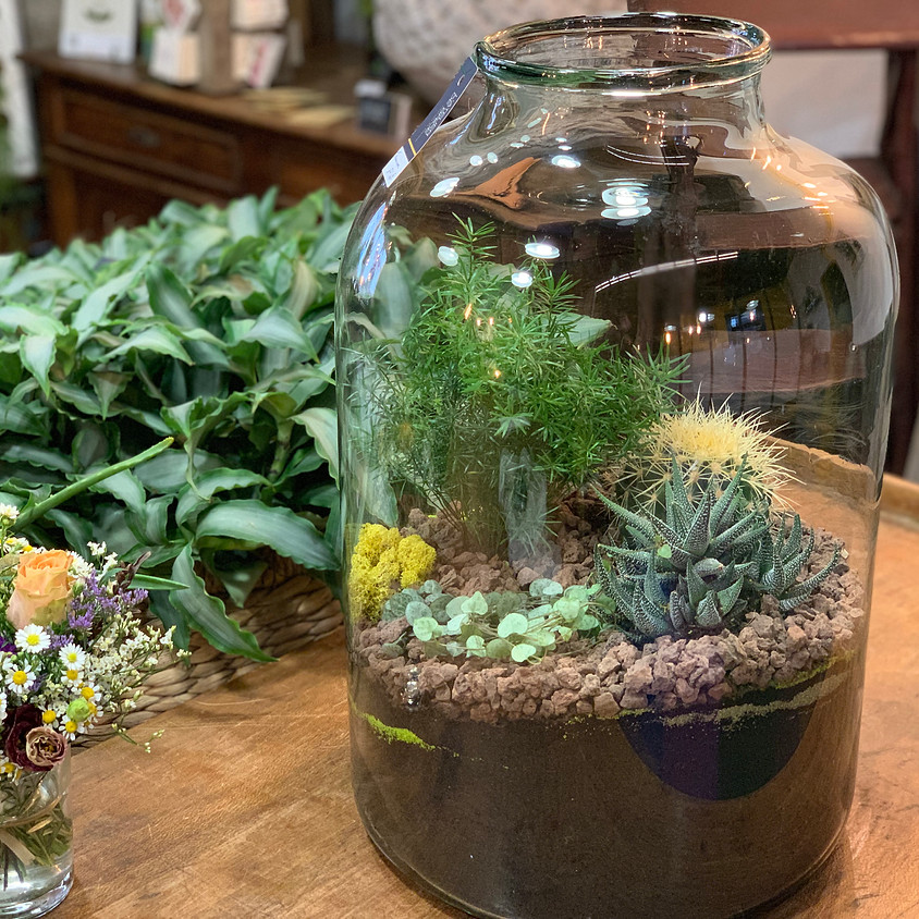 Atelier terrarium