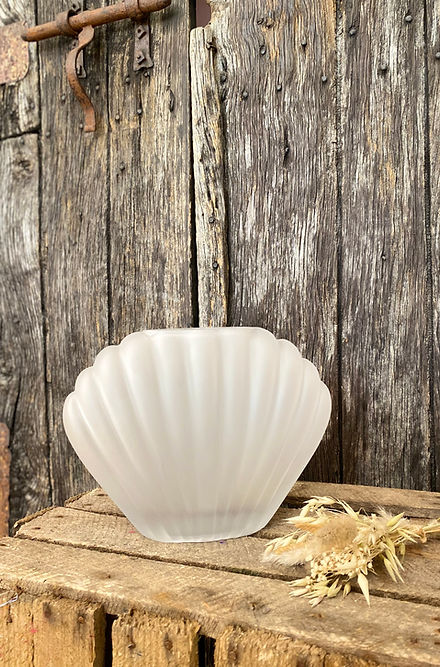Vase Coquillage