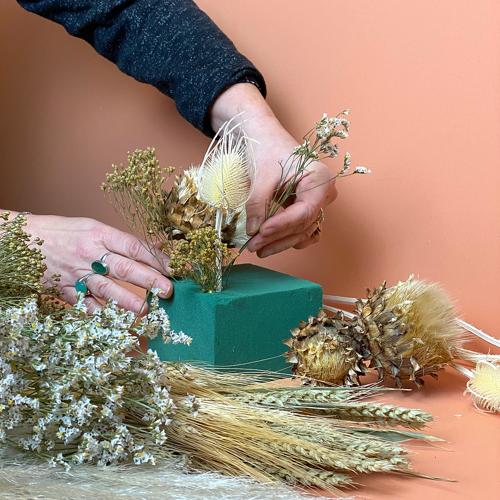 Miniature : Kit Décor à Suspendre Mistral
