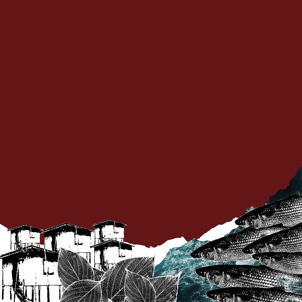 capa mapeamento.jpeg