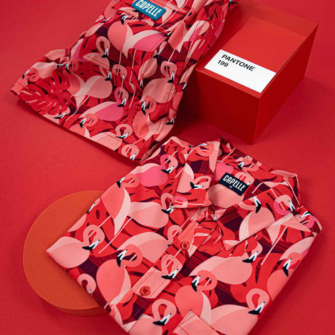 Product, Ecommerce, web, social media photography, Los Angeles, California. www.silvajulio.com