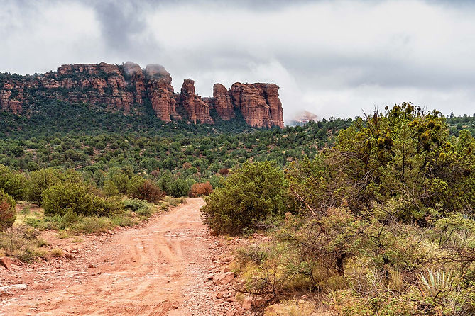 Lush green forest and rocky red cliffs under a cloudy sky, providing a scenic backdrop for the Offroadr Ambassador Application form