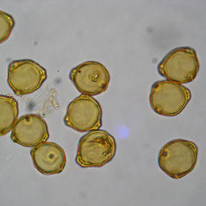 Looking down the well