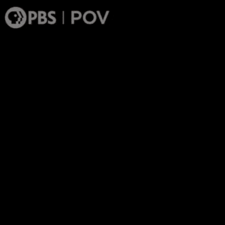giphy-5.gif