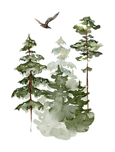 a (3).png