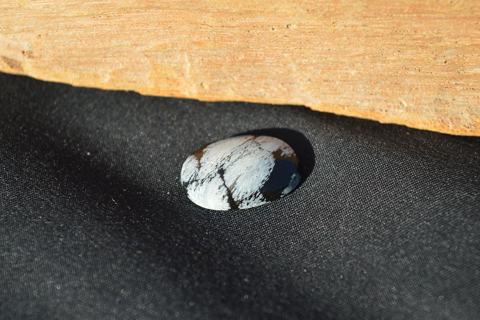 Thumbnail: Snowflake Obsidian Cabochon