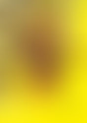 ¡Pero qué gran y conmovedora diferencia!