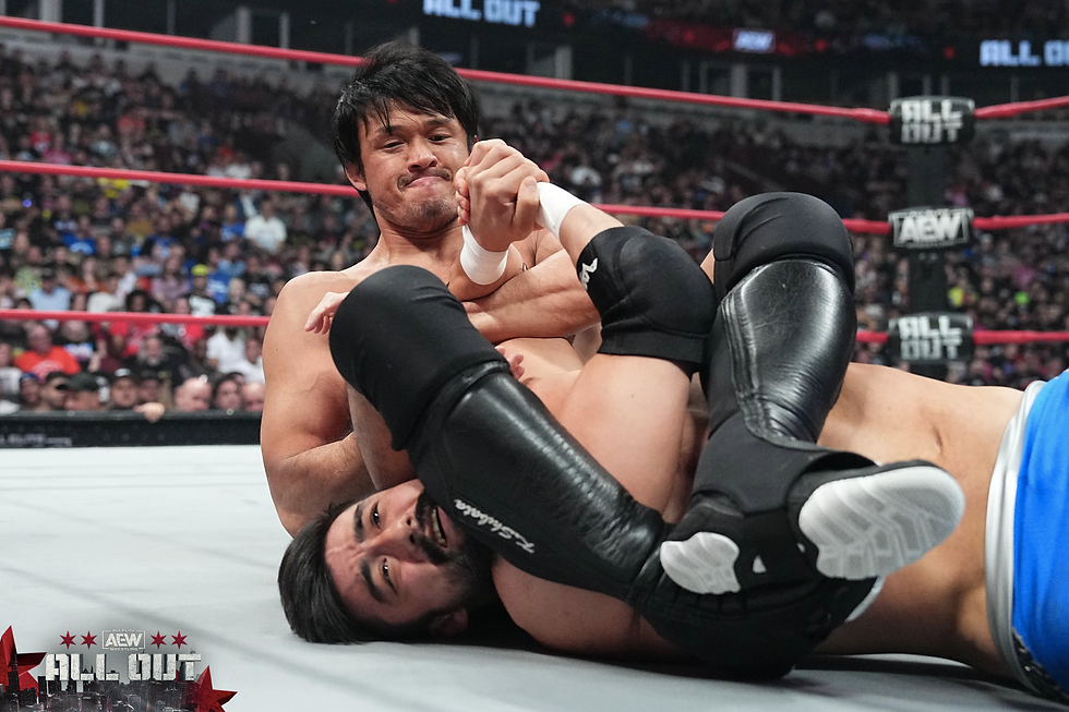Shibata arm bar