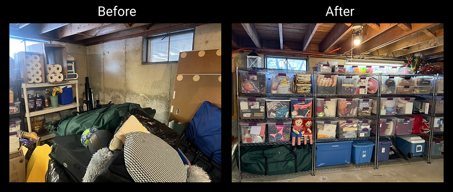 Basement Shelves