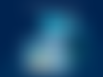 Network Operating Systems Market: Trends, Innovations, and Future Outlook