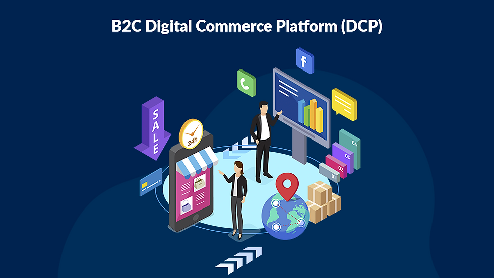 B2C Digital Commerce Platforms