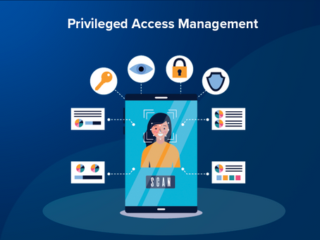 Privileged Access Management in the Cloud Era: Challenges and Solutions