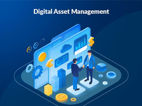 Choosing the Best Digital Asset Management Software: A Complete Guide