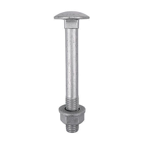 Carriage Bolt, Hex Full Nut & Form A Washer-A- M6 x 100 (10pk)