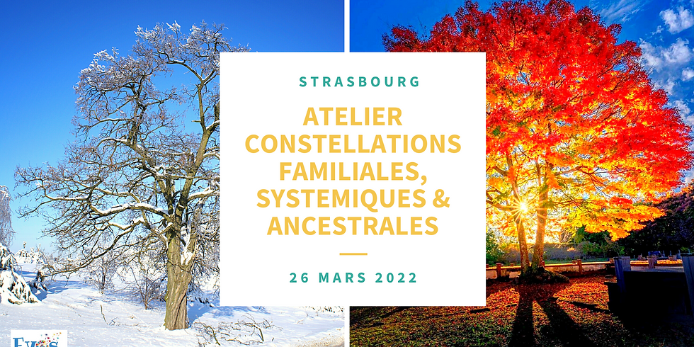 Atelier de Constellations Familiales, Systémiques & Ancestrales