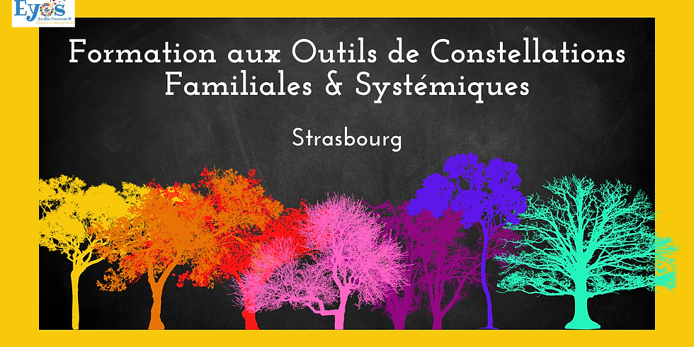 Formation aux Outils de Constellations Familiales & Systémiques