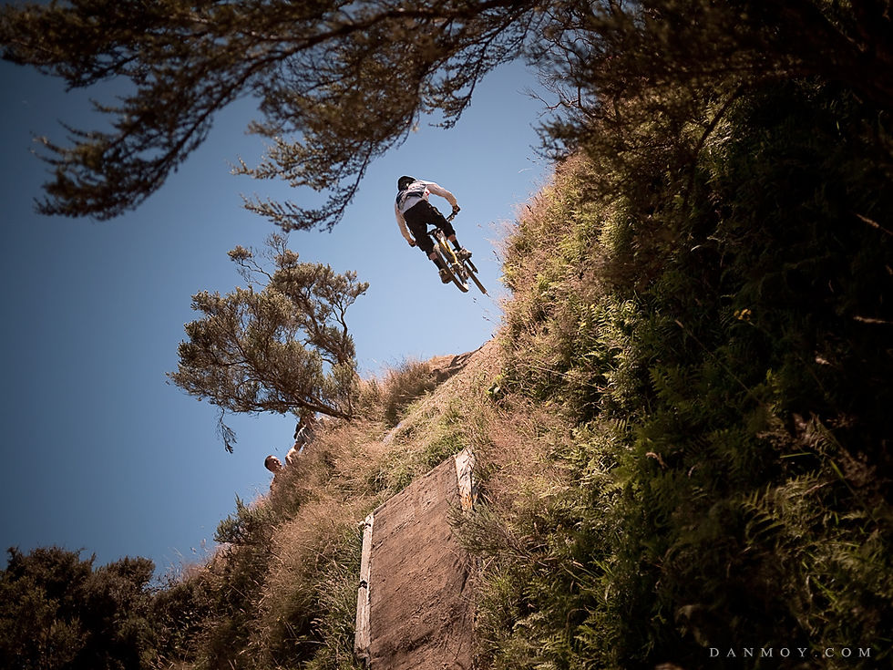 Long Gully Wellington New Zealand