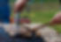 grill 1.jpg