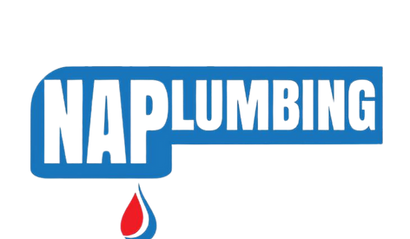 NAP Logo 25 (1).png