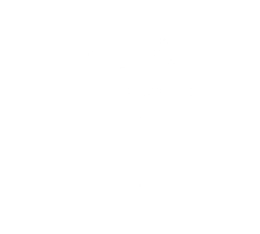 ФИШЕР-основной-логотип-б.png